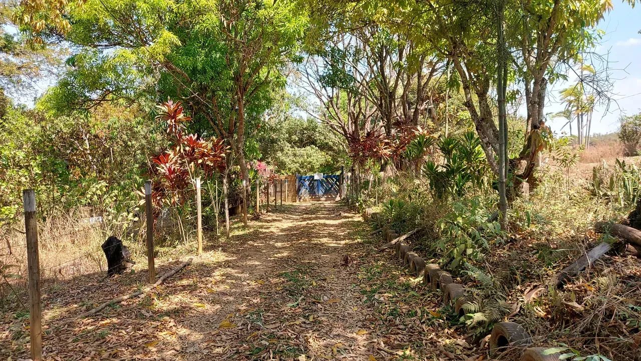 Chácara 9.030m² escriturada com água e muita natureza!