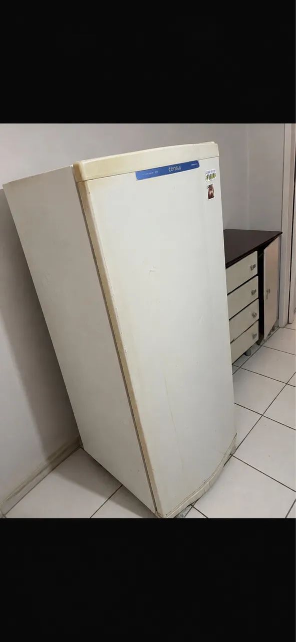Vendo geladeira cônsul 