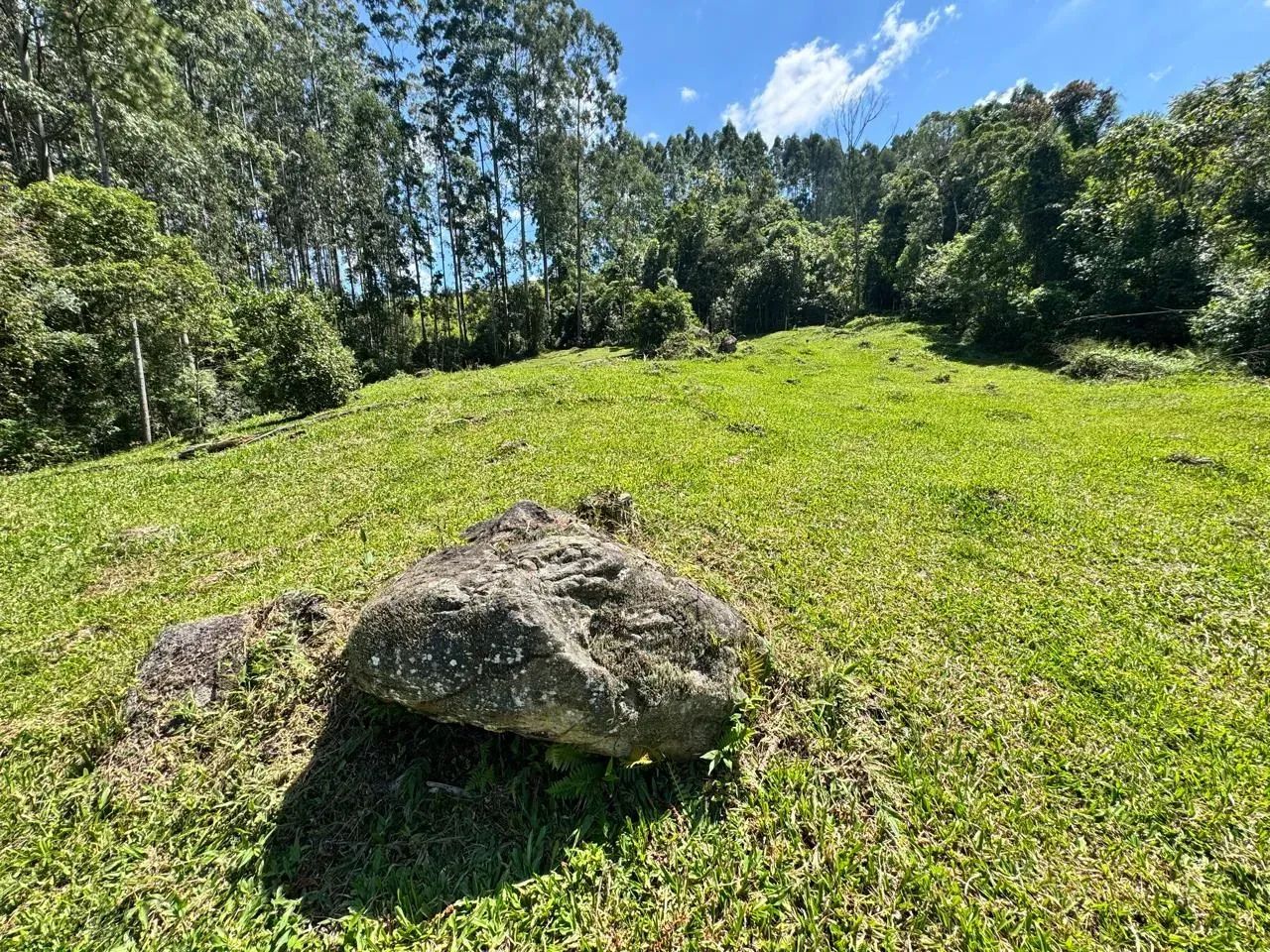 Sitio com cachoeira, pastagem e mata em Anitápolis - SC - Foto 3