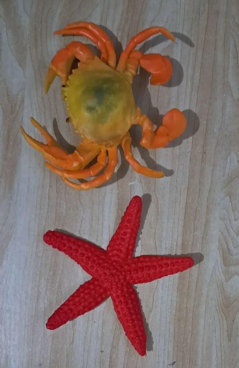 Réplica miniatura de siri e estrela do mar - Foto 2
