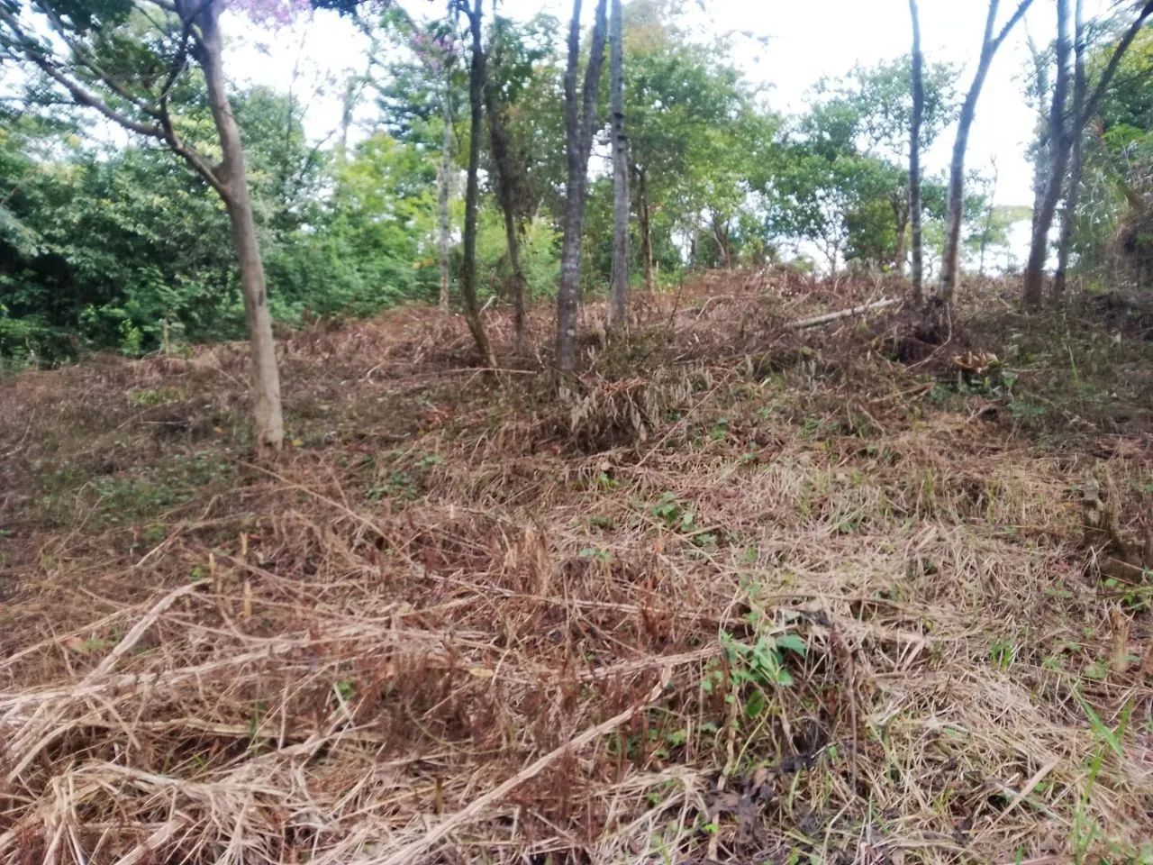 Terreno com escritura e RGI - Foto 2