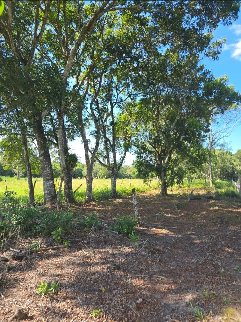 Terreno em São Francisco do Sul  - Foto 5