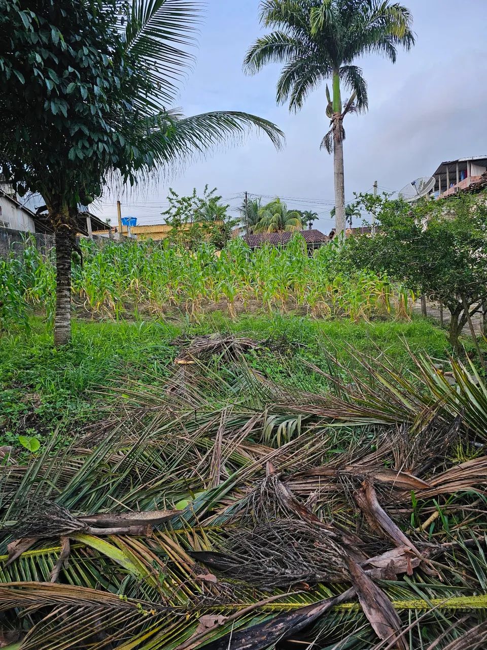 Terreno ,bairro maracujá,Escada,pe.