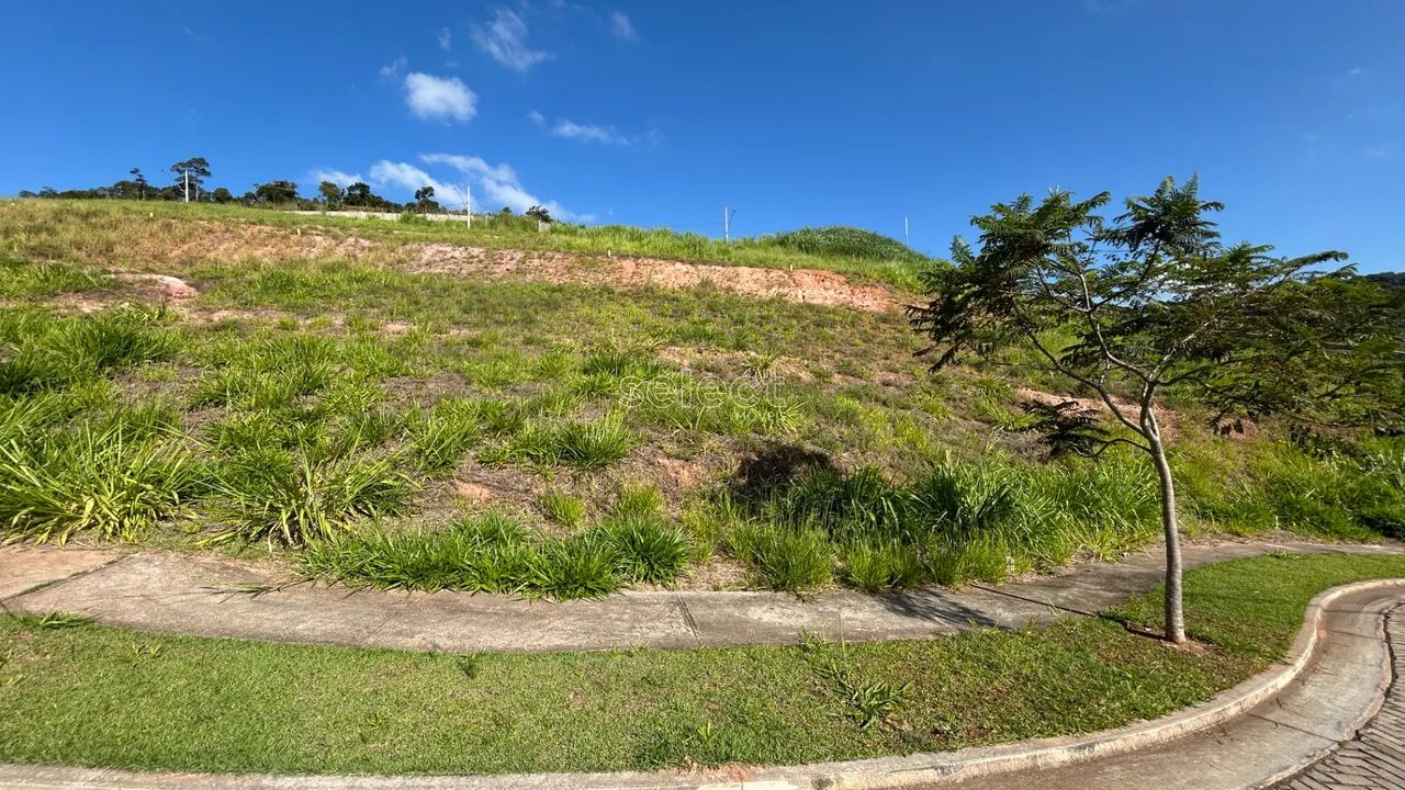 Lote / Terreno - São Pedro - Foto 4