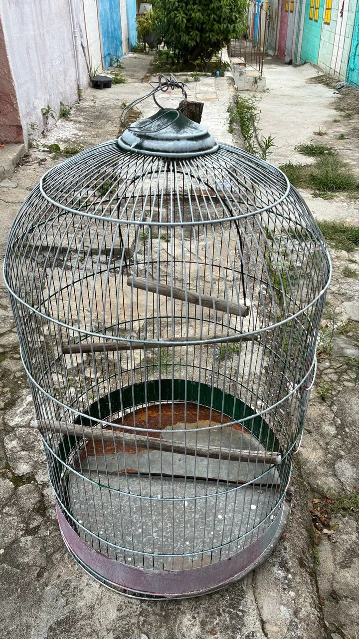 Gaiola em bom estado - Foto 2
