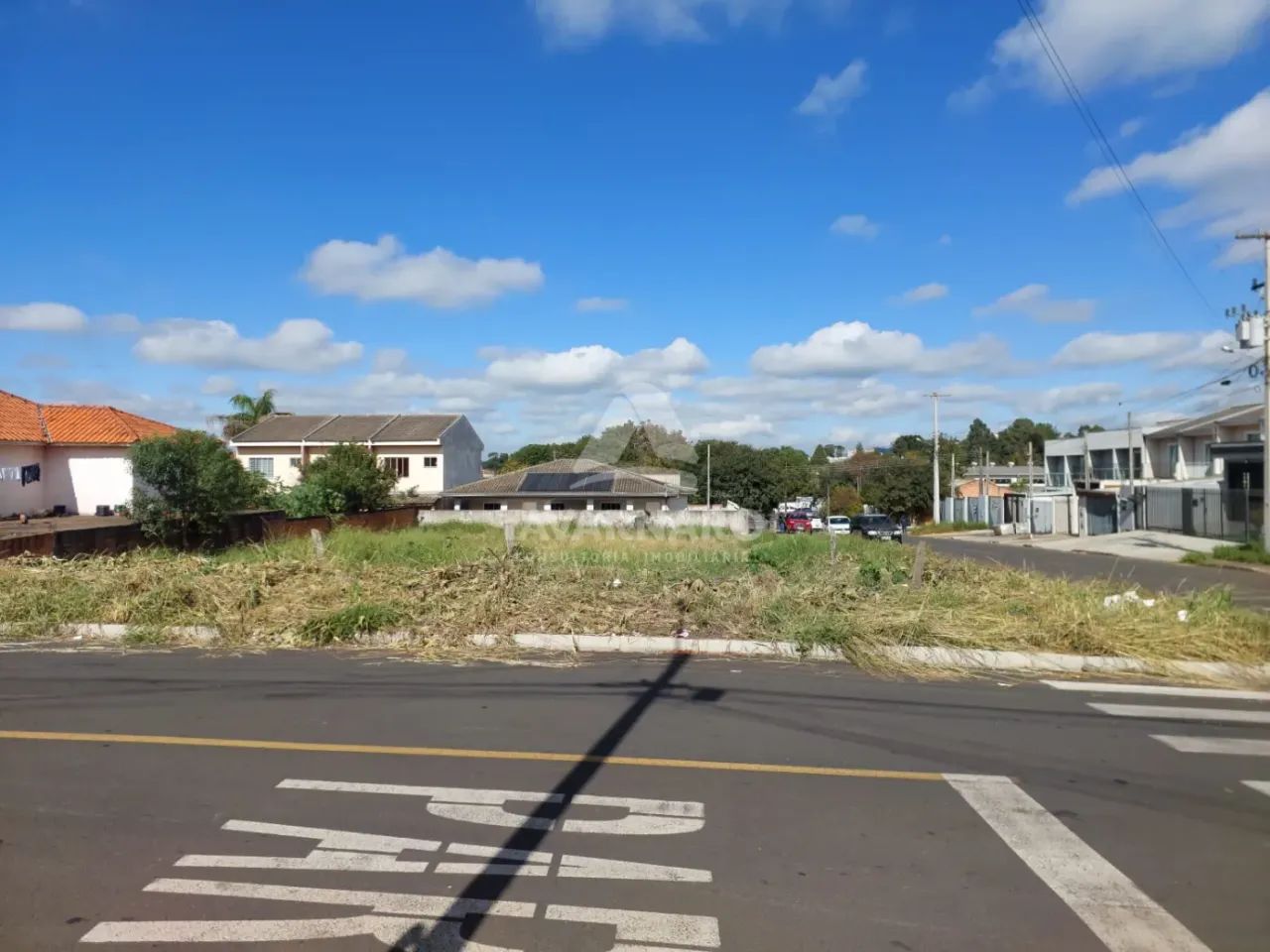 Terreno Padrão em Ponta Grossa - Foto 5
