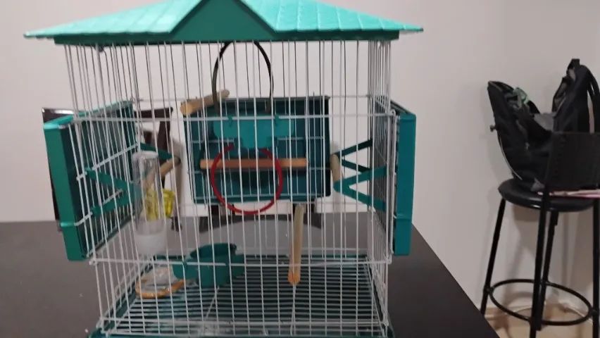 Gaiola - Foto 2