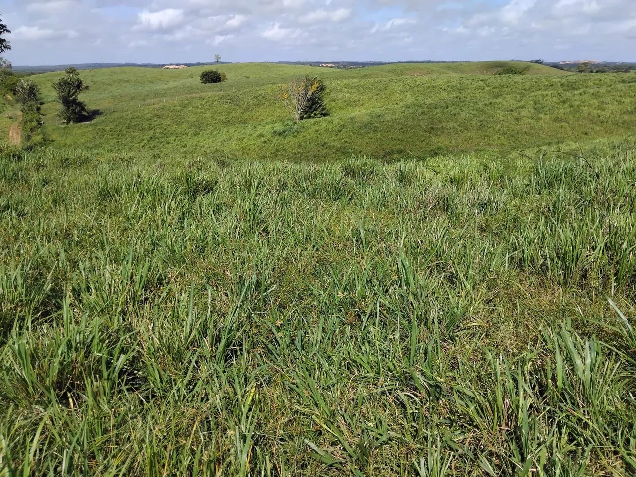 Fazenda - Foto 3