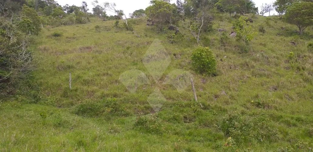 Área de 8.914,15m² com vista mar na Gamboa - Garopaba - SC - Foto 4