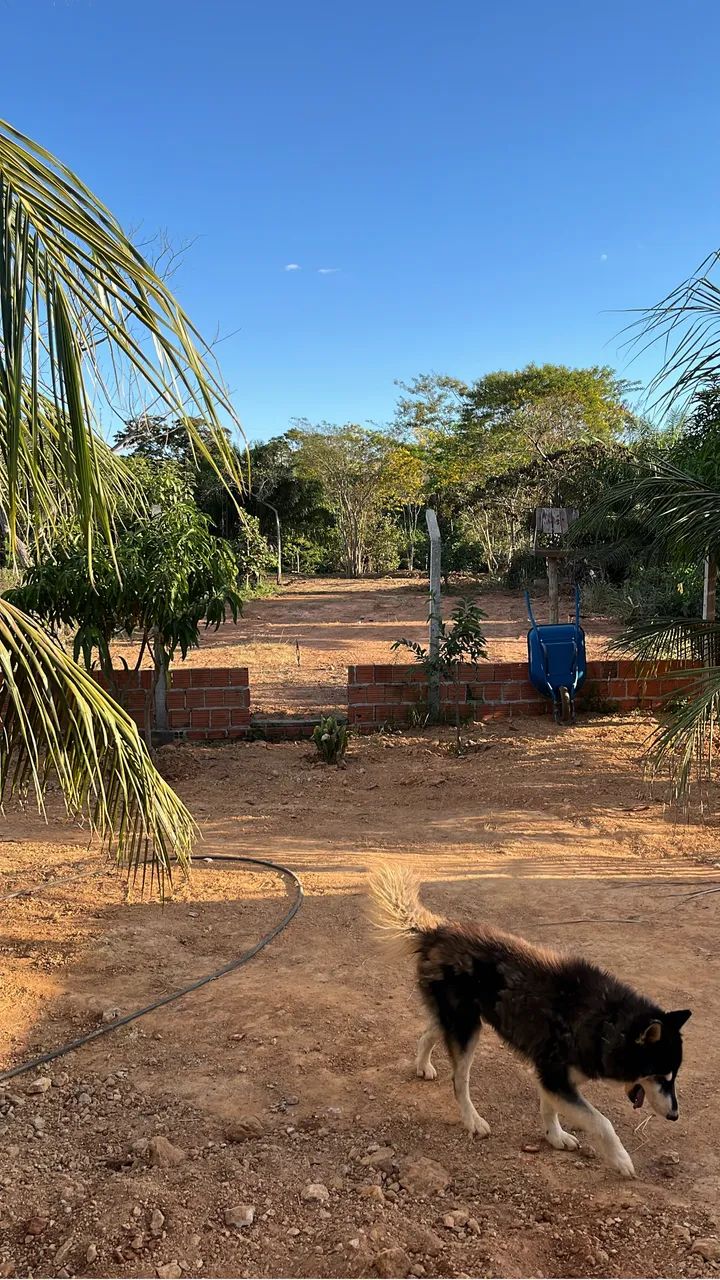 Terreno excelente para chácara  - Foto 3