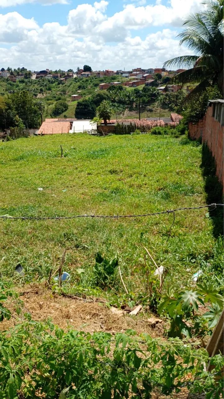 TERRENO À VENDA - AMÉLIA RODRIGUES BA - Foto 4