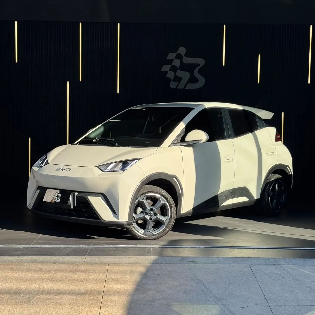BYD Dolphin GS (Elétrico) 2025