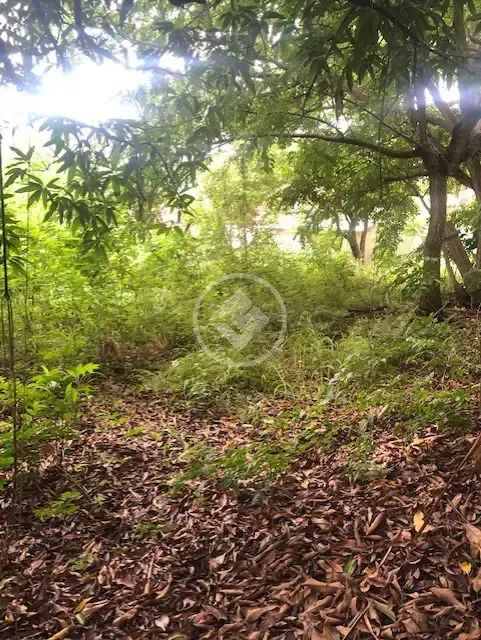 Lote na Lixeira codigo: 338399 - Foto 4