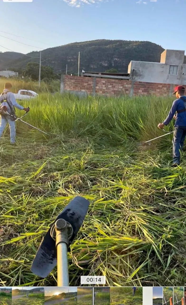 Podas de árvores e gramas