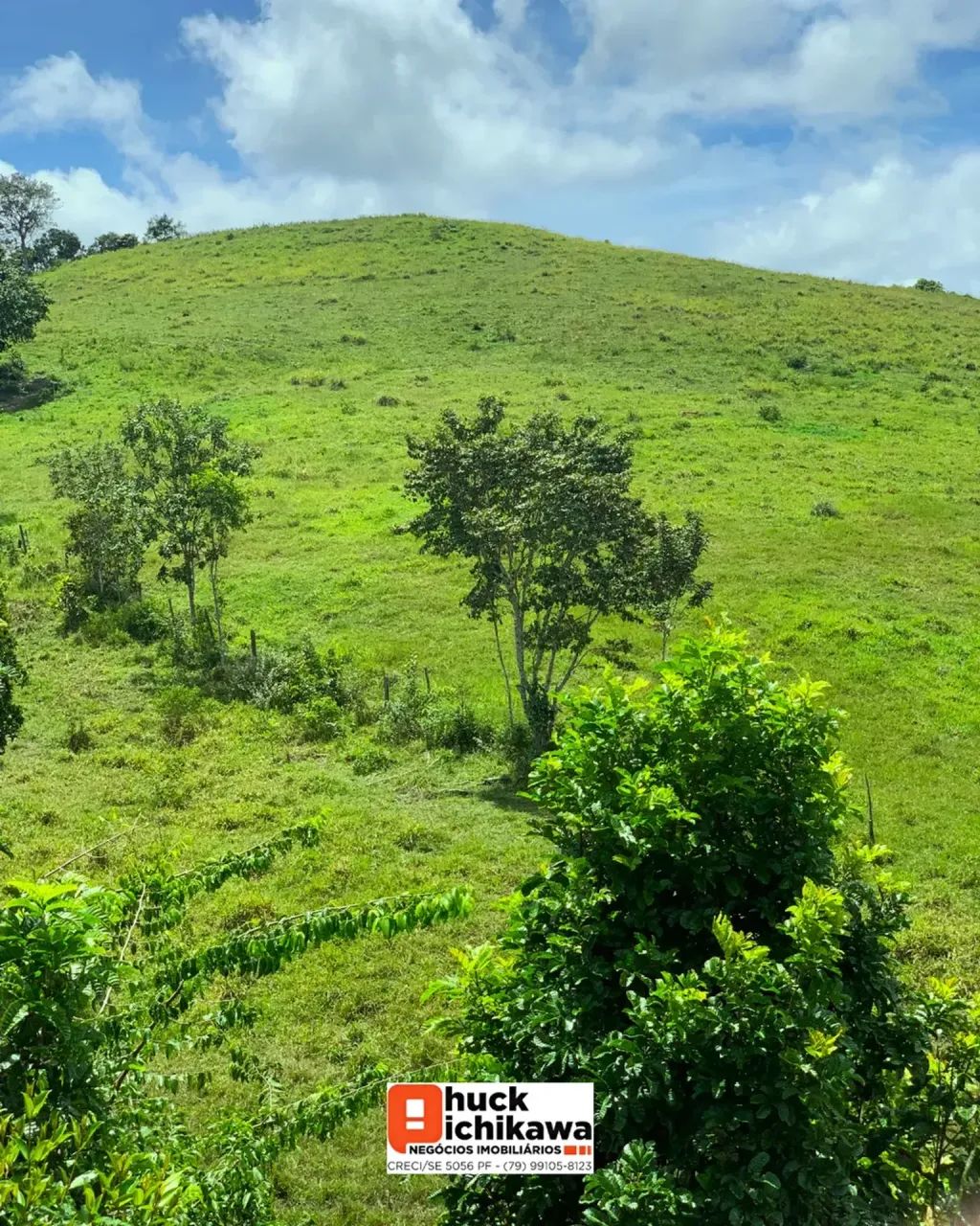 Fazenda de 100 tarefas  Boquim / Salgado - Foto 4