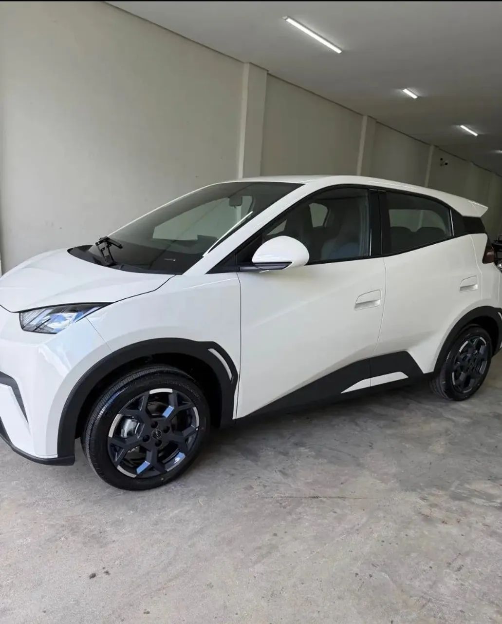 BYD Dolphin Mini (Elétrico) 2027 2027