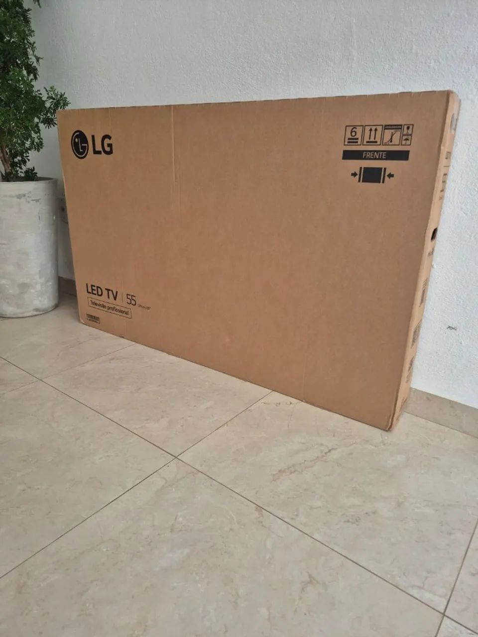 Televisão 