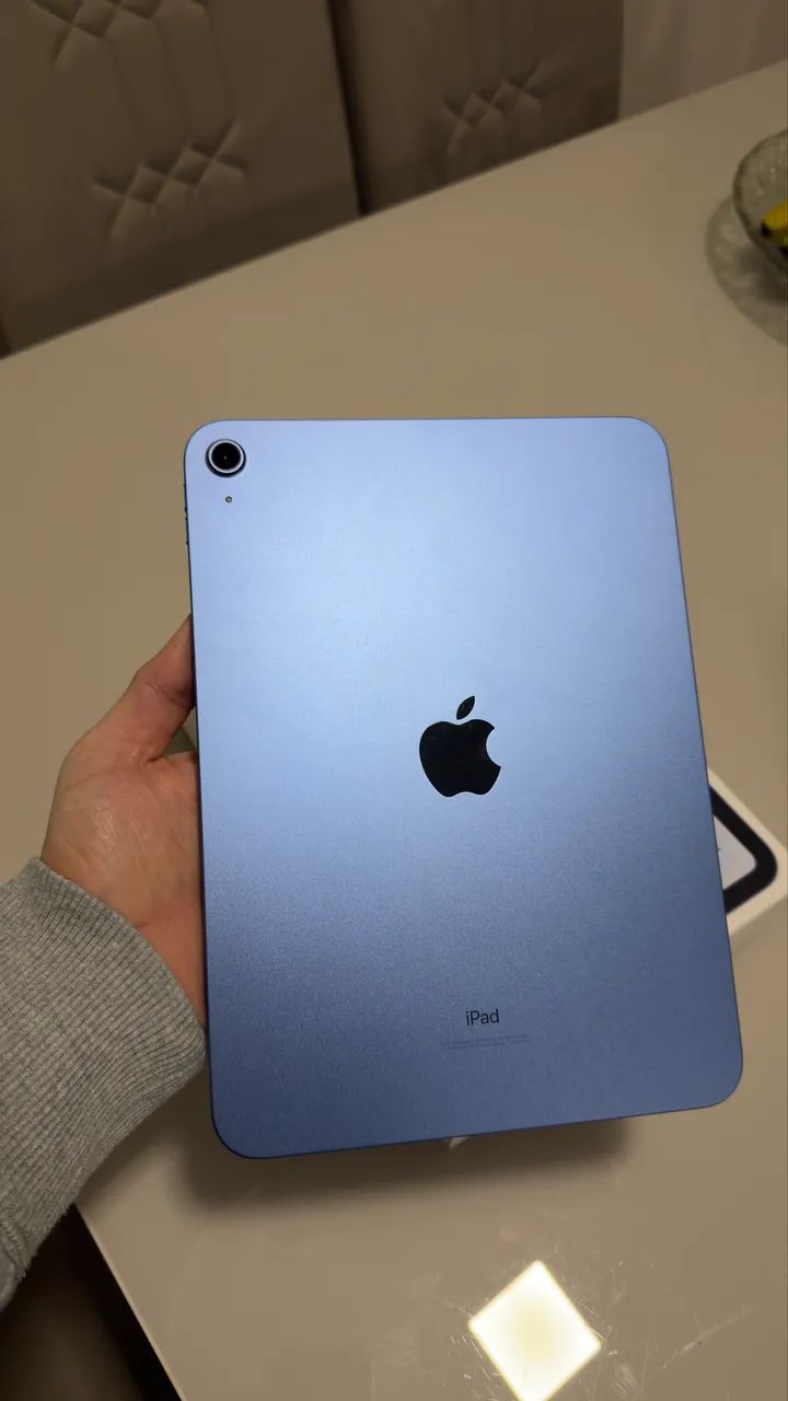Vendo IPAD 10 + Caneta Pencil 