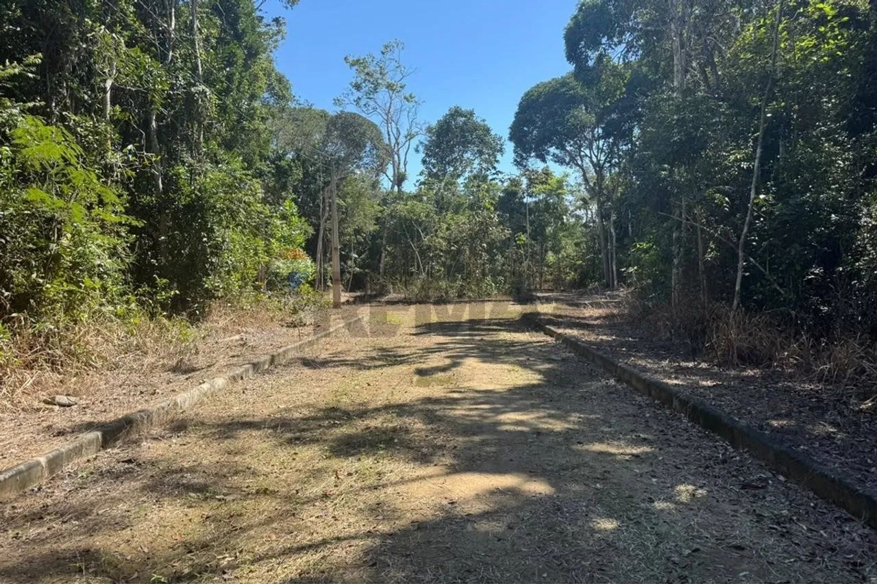 Terreno em Arraial D'Ajuda: Pronto para Construir! - Foto 5