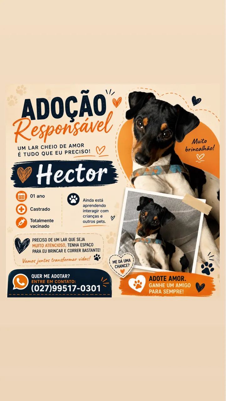 Doação responsável - Fox Paulistinha  - Foto 2