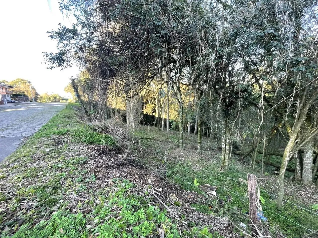 CAXIAS DO SUL - Terreno Padrão - CRUZEIRO