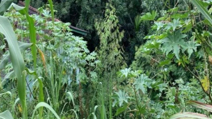 Terreno no Bairro Flor da Serra em Joaçaba/SC - Foto 3