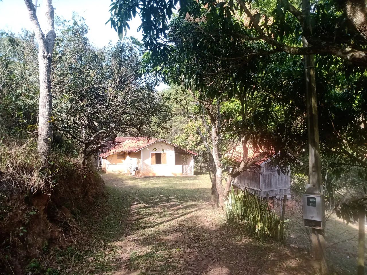 SÍTIO COM 30.7 HECTARES EM JAMBEIRO - Foto 3