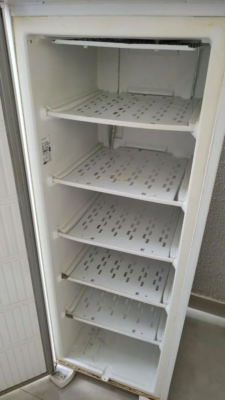  Freezer Vertical Electrolux Super FE22  - Foto 2