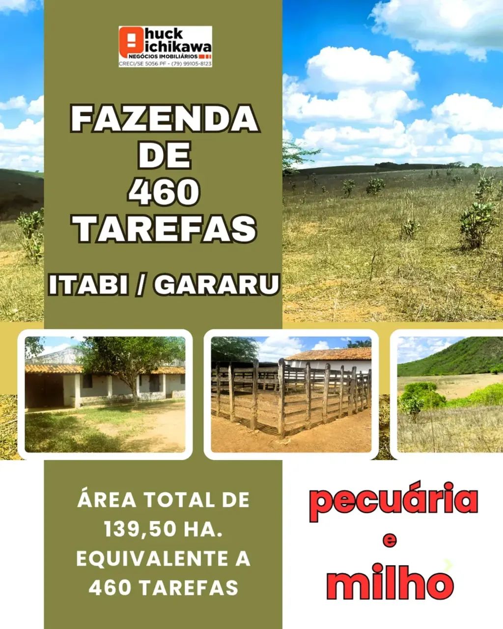FAZENDA de 460 tarefas - ITABI / GARARU