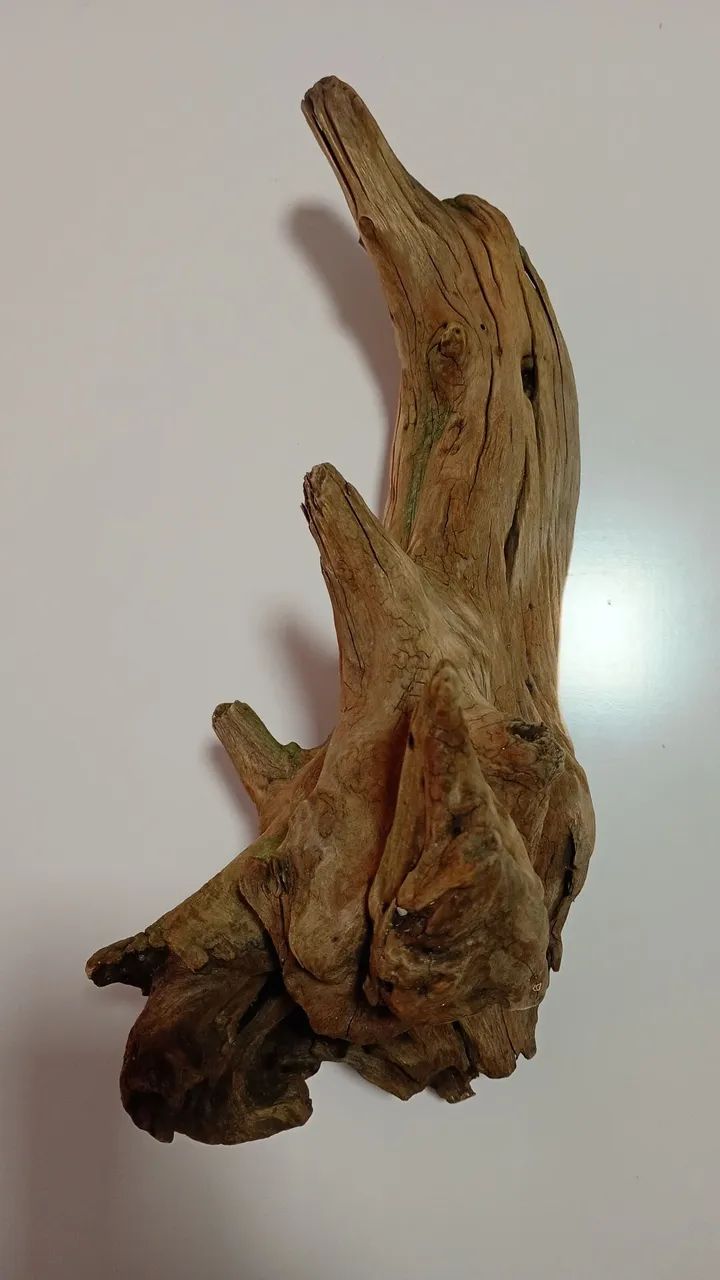 Tronco para Aquário  - Foto 2