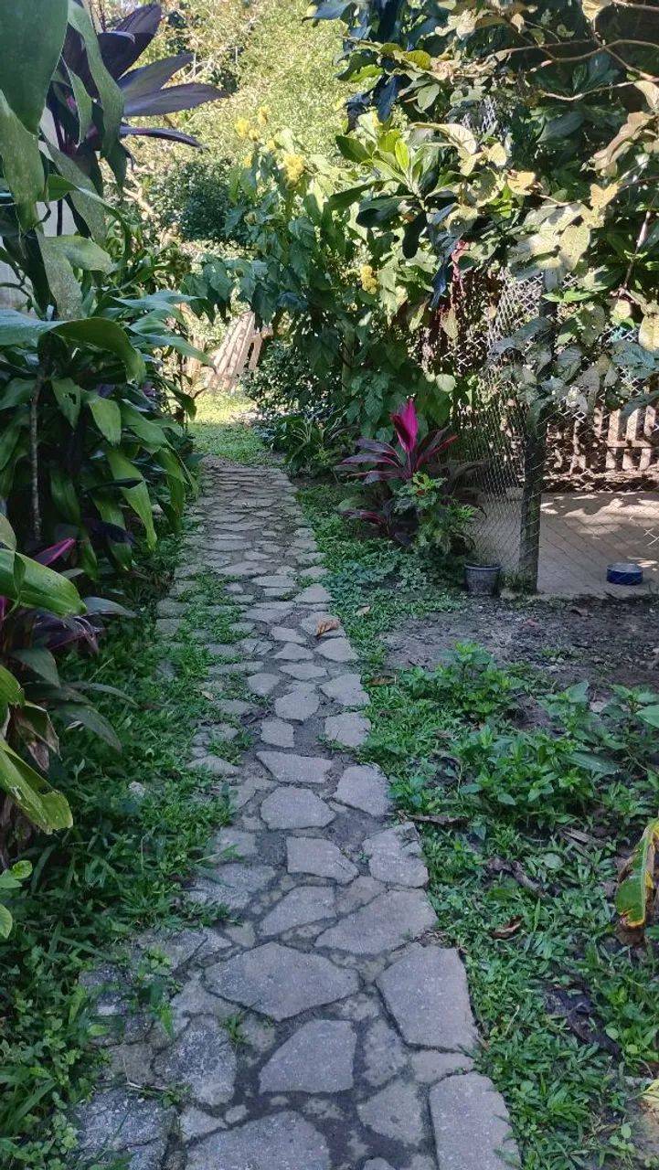 Chácara completa com árvores frutíferas parquinho e lago com tilápias  - Foto 12