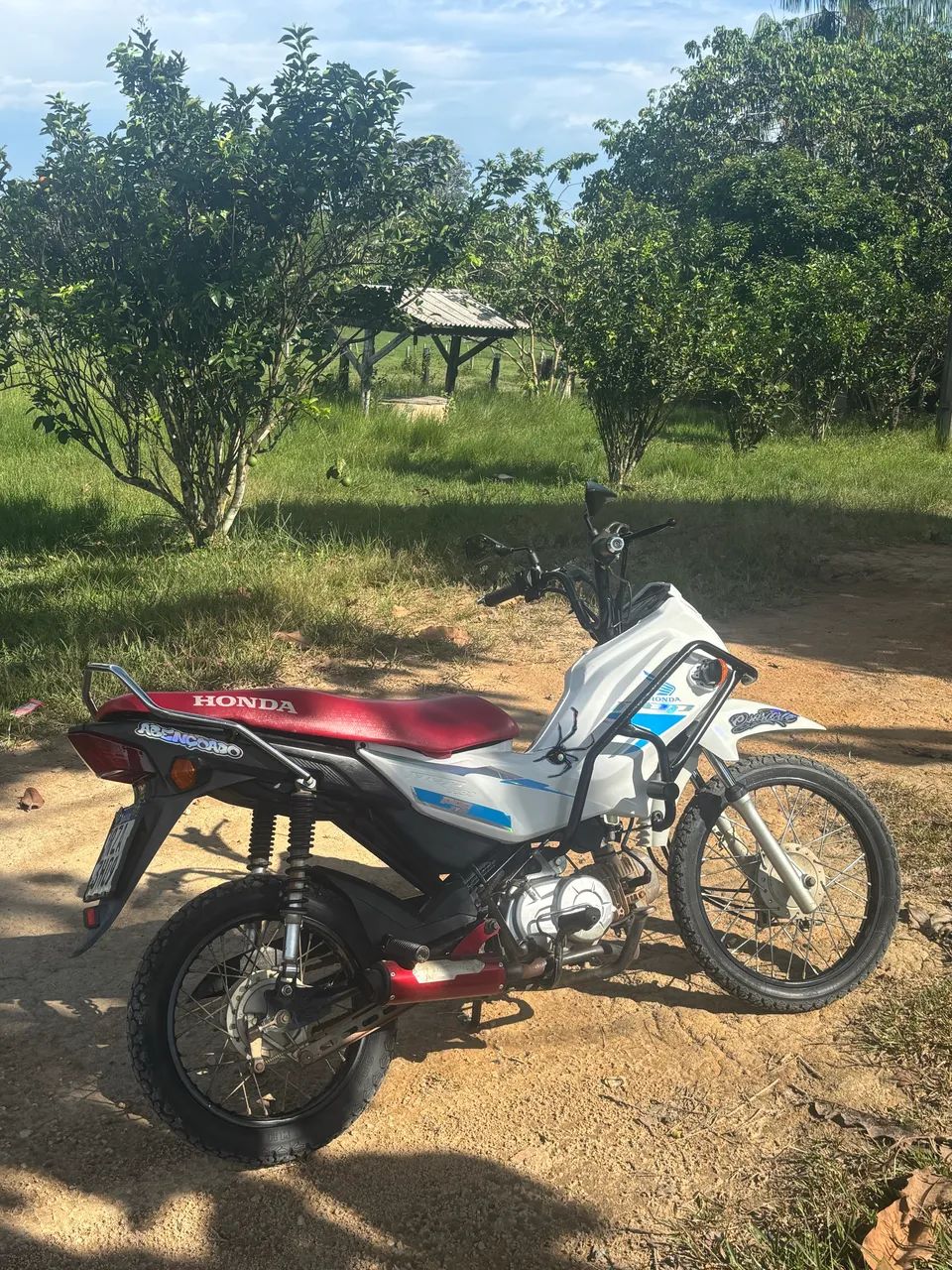 Pop 110i 2022
