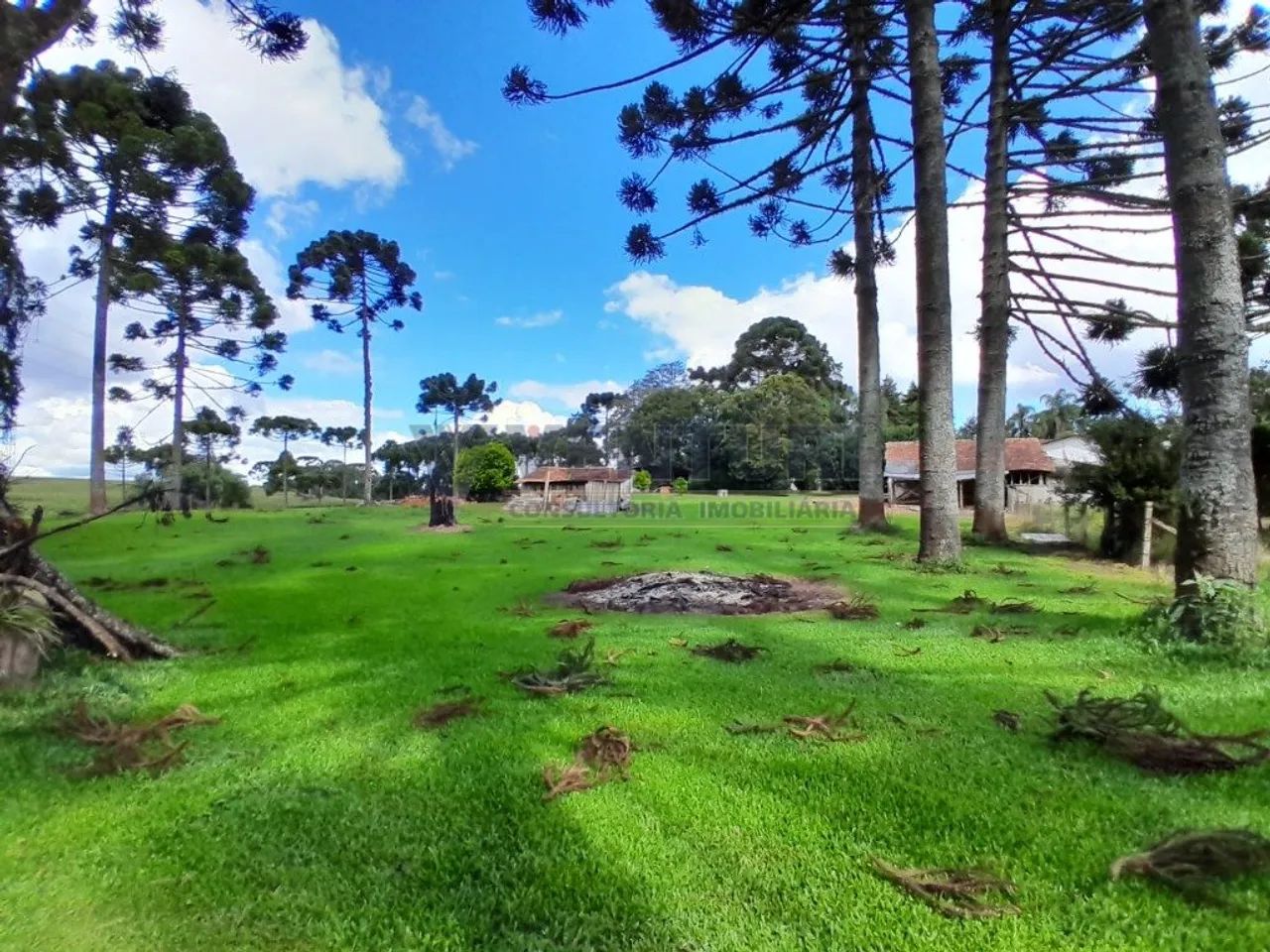 Área 239.216,32m² - Campo Largo da Roseira - Foto 4