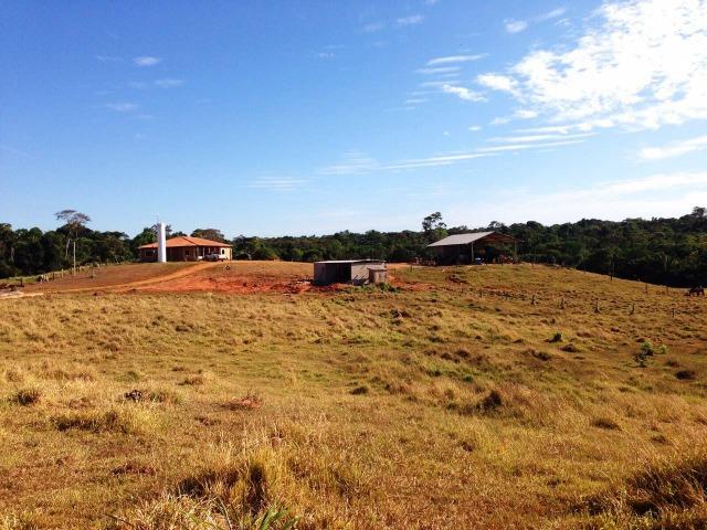 Fazenda 873 ha S.J. Rio Claro MT - Foto 10