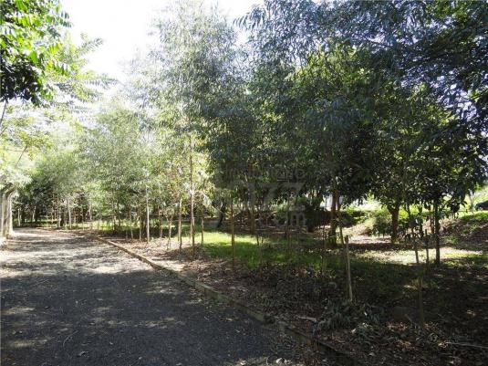 Terreno residencial à venda, Betel, Paulínia. - Foto 12