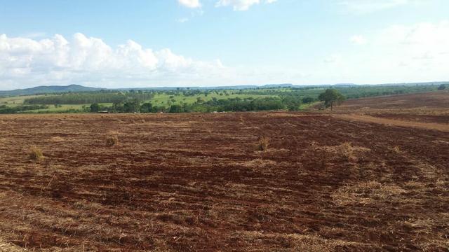 Fazenda Arrendamento 165 Alq Parana - Foto 6