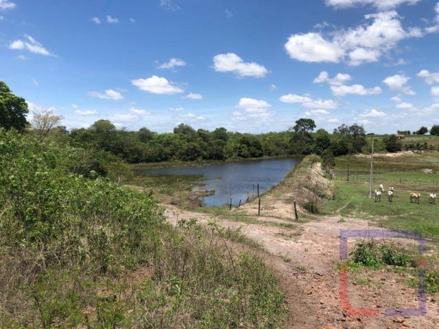 Fazenda com 3 dormitórios à venda, 530000 m² por R$ 1.400.000 - Centro - Curral de Cima/PB - Foto 16