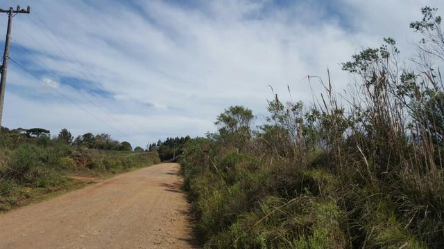 Chácara com 242.000 m² Rincão Tijucas do Sul - Foto 4