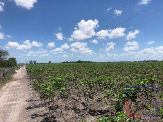 Fazenda com 3 dormitórios à venda, 530000 m² por R$ 1.400.000 - Centro - Curral de Cima/PB - Foto 5