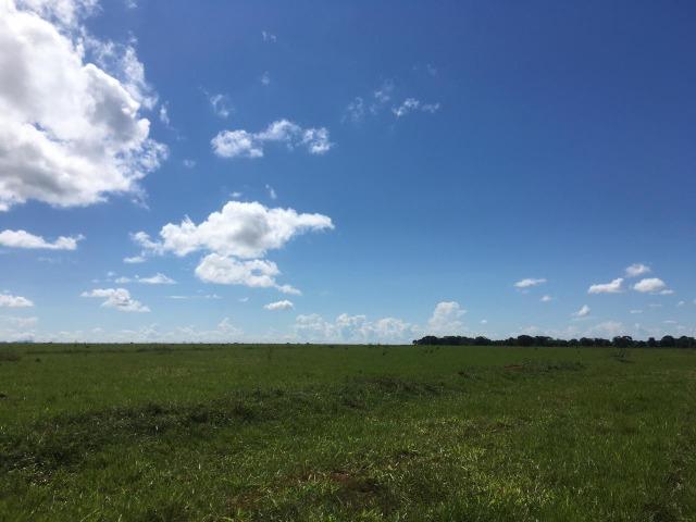 Fazenda Dupla Aptidão em Jangada
