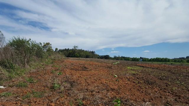 Chácara com 242.000 m² Rincão Tijucas do Sul - Foto 11