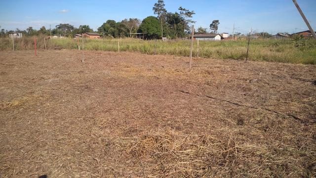 Terreno por 5.00,00 reais