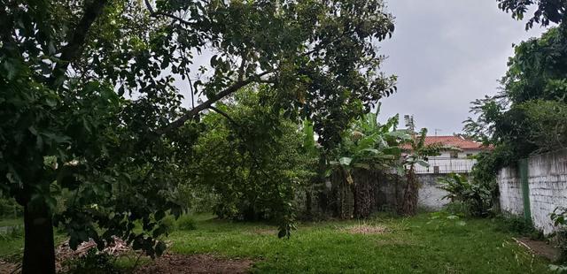 Venda