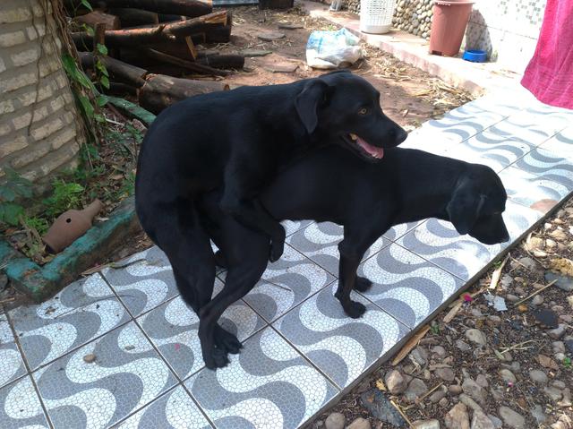 Vendo e aceito proposta garanta o seu e ajende - Foto 6