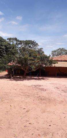 Fazenda - Foto 4