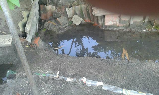 Chacara - Foto 14