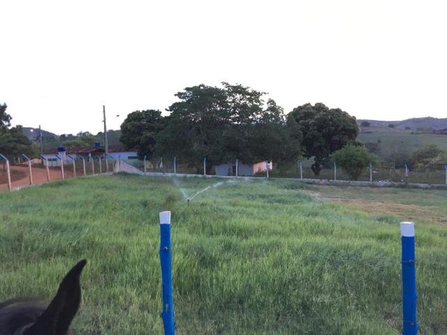 Terreno ou Rancho - Foto 2