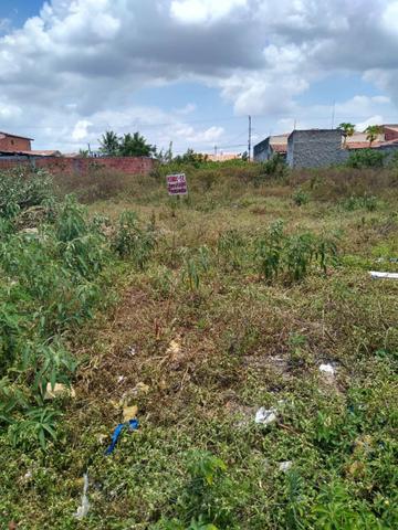 Terreno +Parcelas