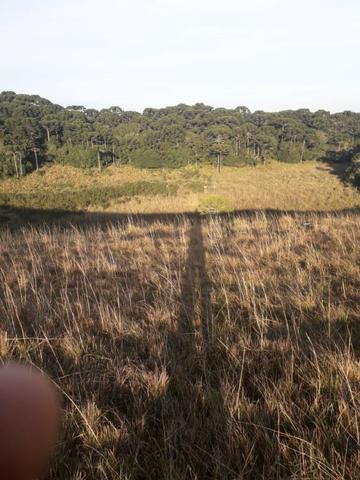 Para você que procura descanso e tranquilidade junto as belezas da serra gaucha - Foto 4