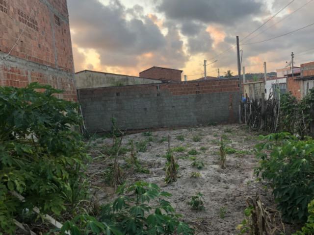 Terreno top na praia de Peroba-AL 9.60x16.0 - Foto 7